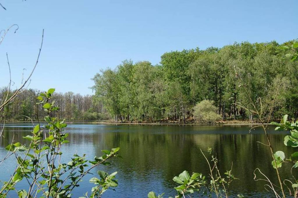 Aux Abords De La Foret Fougere  Exteriér fotografie